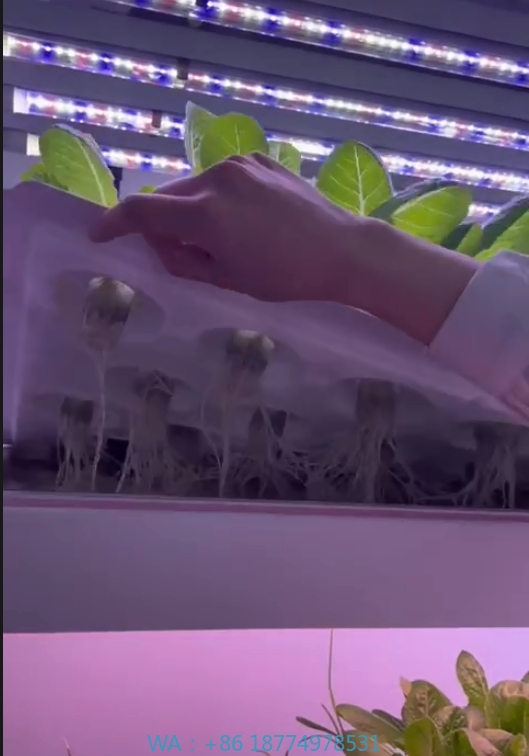 Hydroponic Tower - F Estufa Equipamento Agrícola Cresce Cogumelo