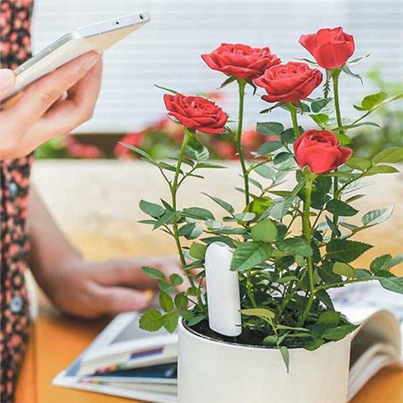 Plant Monitor - ABVG-Flora Monitor Inteligente de Flores, Cuidados
