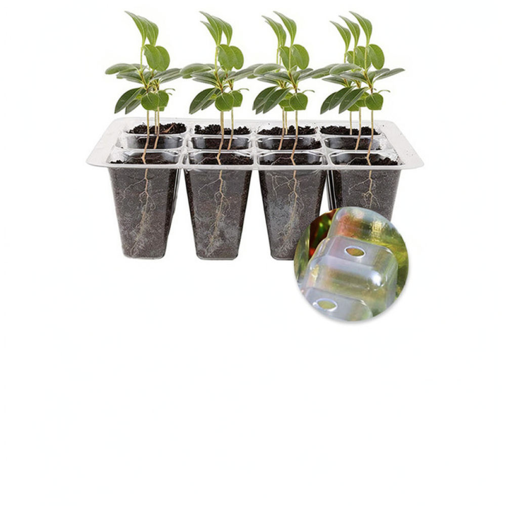 Indoor Garden Kit - Kit de iniciação para cultivo de