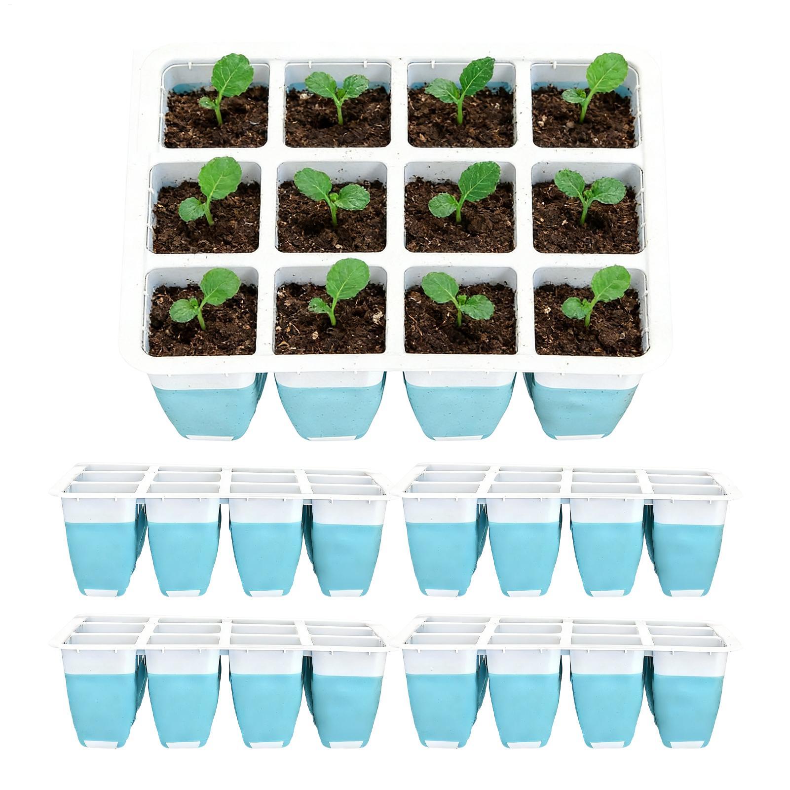 Indoor Garden Kit - Kit de Germinação de Sementes em