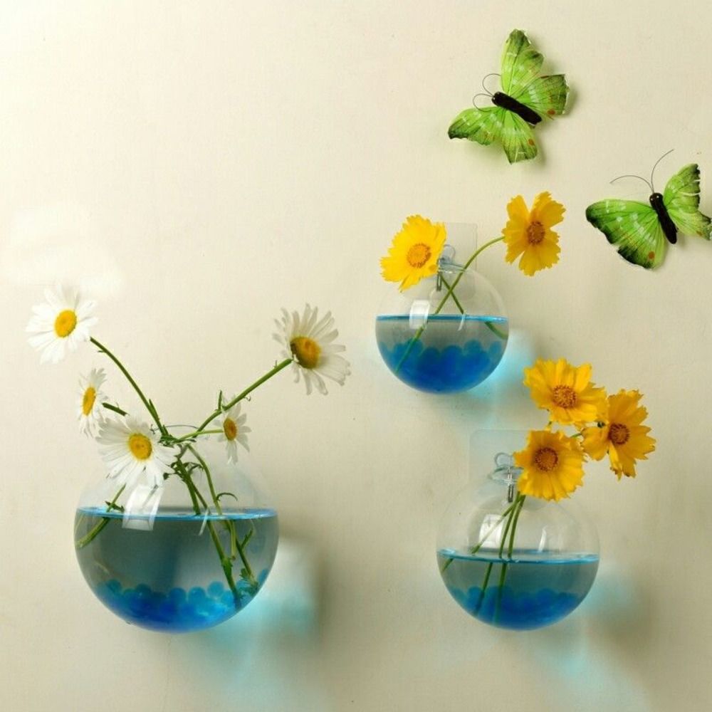 Hydroponic Grow Pod - Vaso De Vidro Transparente, Suspensão De