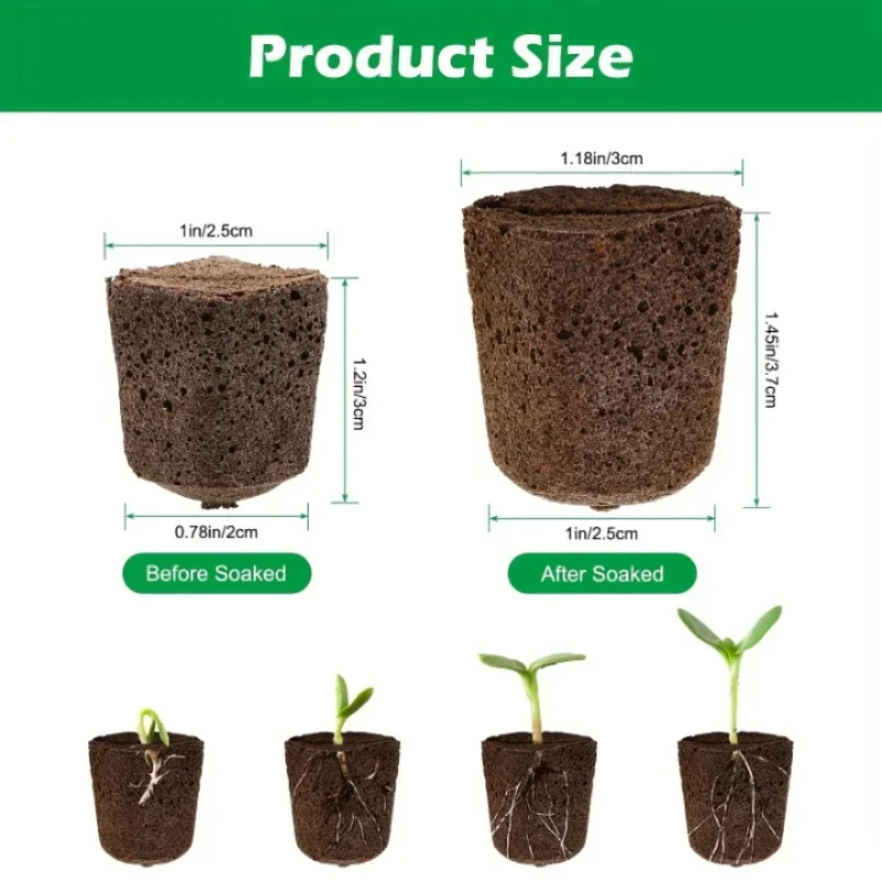 Indoor Garden Kit - Kit de Esponjas para Germinação de