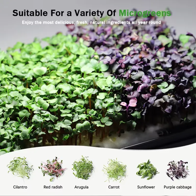 Sistema de Cultivo Hidropônico - Self Watering Planter avaliação e preço