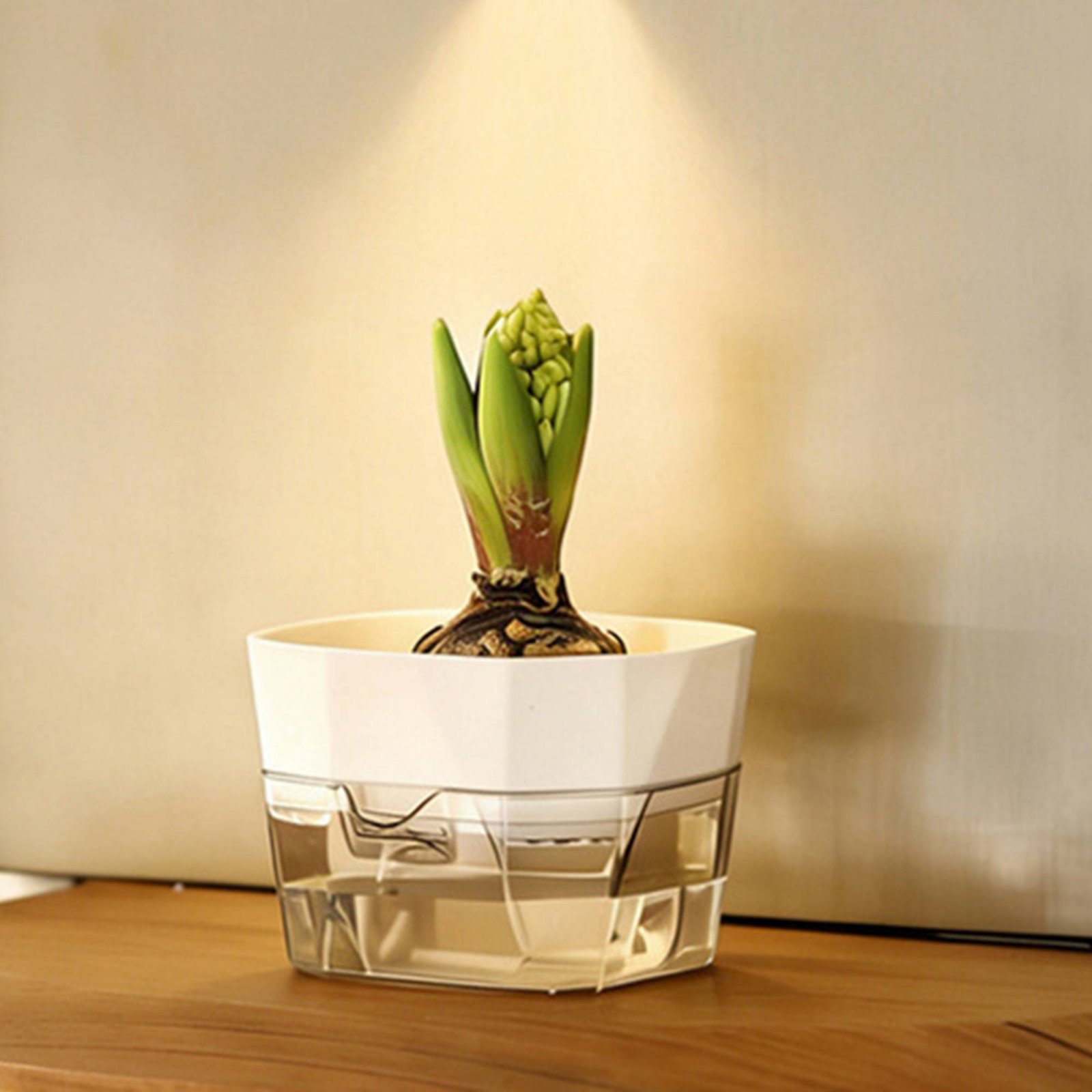Vaso Hidropônico com Design de - Automatic Watering avaliação e preço