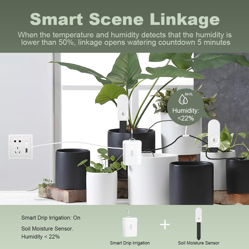 5 peças de Medidor de Umidade  - Garden Camera avaliação e preço