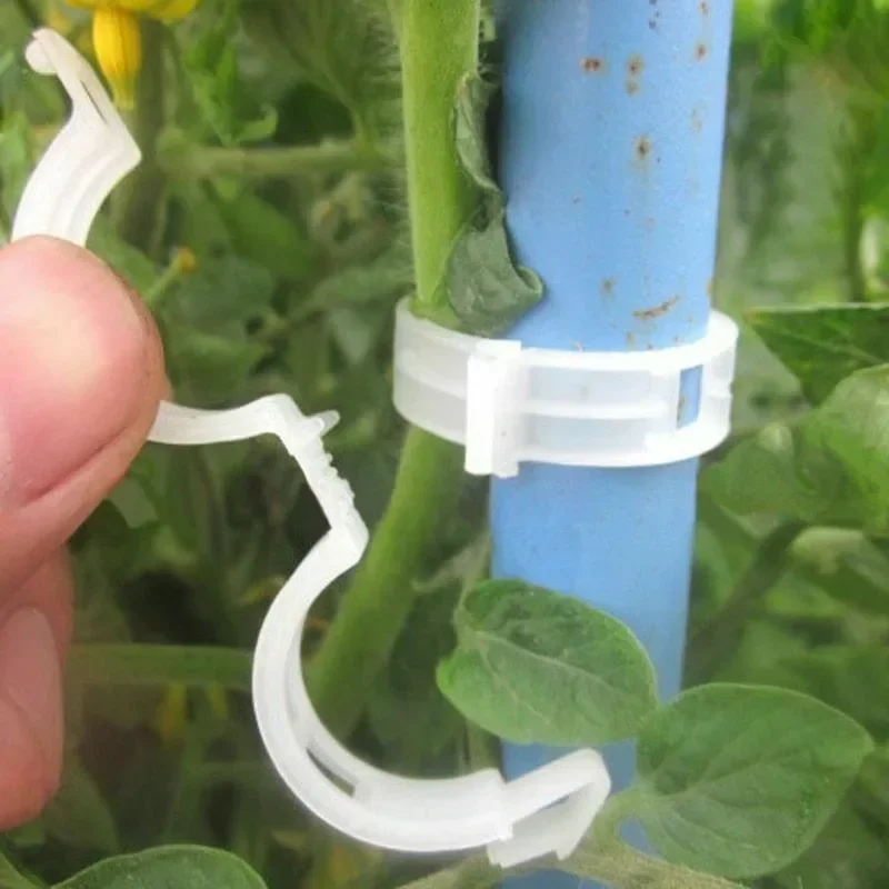 Clipes de Suporte para Plantas - Smart Garden Kit avaliação e preço