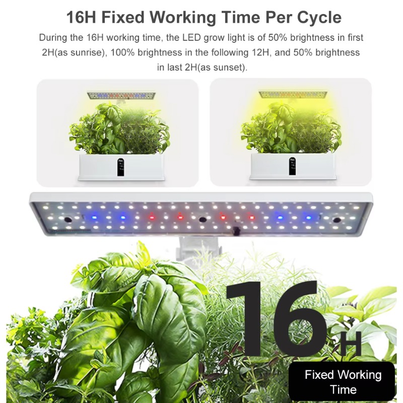 Sistema de Cultivo Hidropônico - Hydroponic Grow Pod avaliação e preço