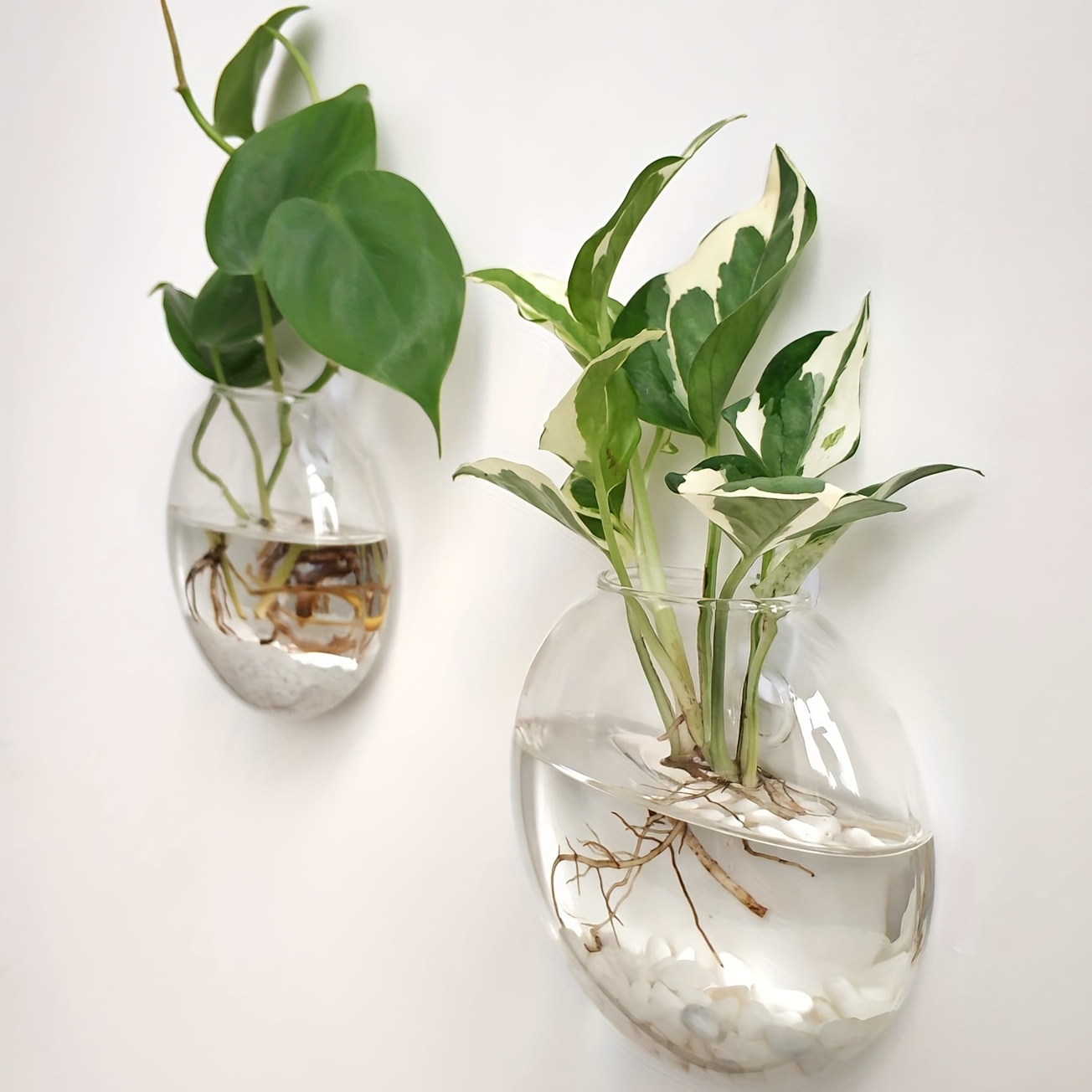 Conjunto de 2 peças / 4 peças  - Hydroponic Grow Pod avaliação e preço