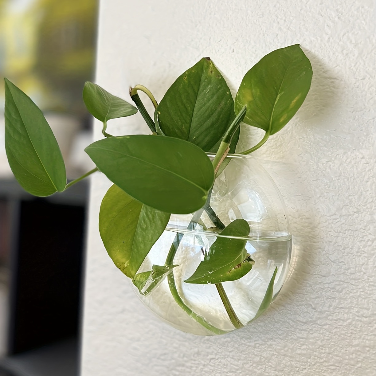 Conjunto de 2 peças / 4 peças  - Hydroponic Grow Pod avaliação e preço