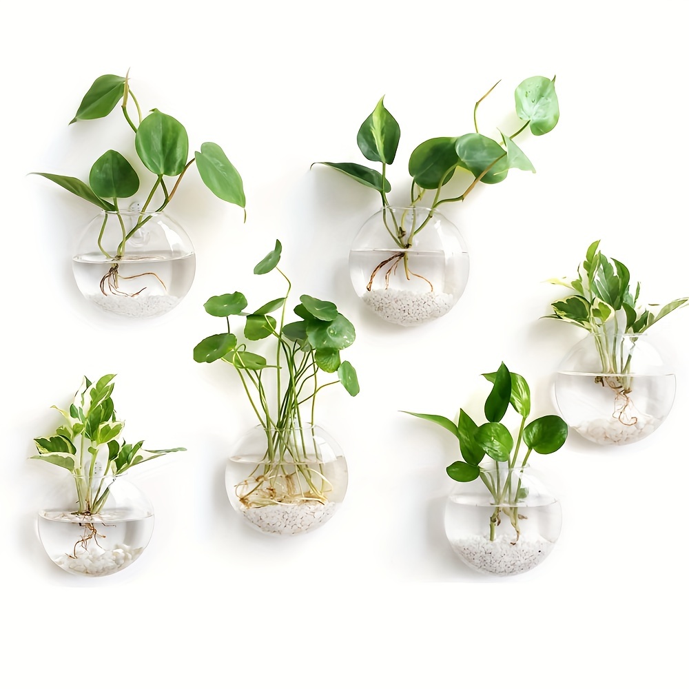 Conjunto de 2 peças / 4 peças  - Hydroponic Grow Pod avaliação e preço