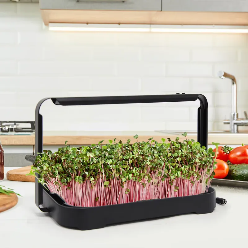 Bandeja Hidropônica para Culti - Indoor Garden Kit avaliação e preço