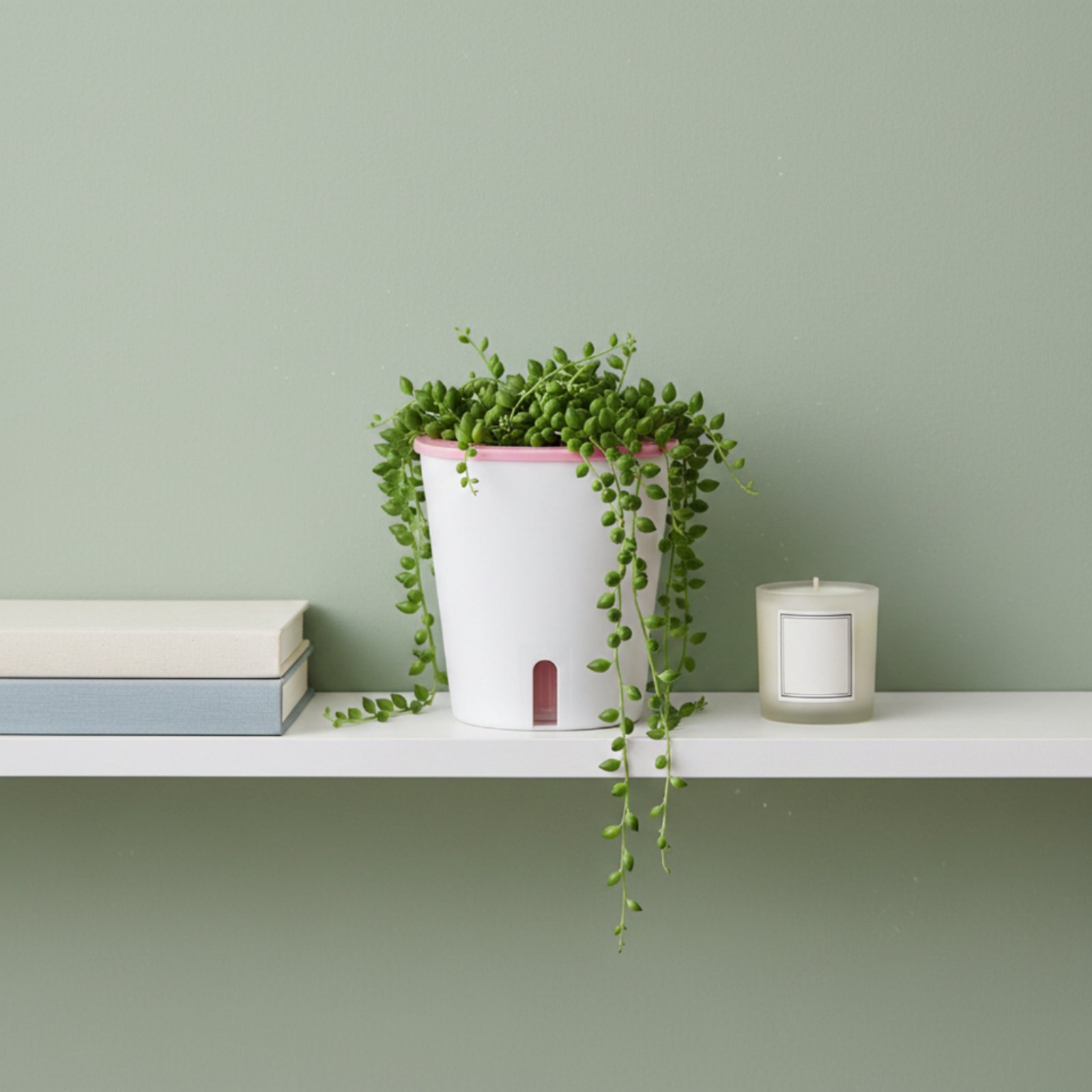 Vaso Autoirrigável Grande com  - Self Watering Planter avaliação e preço