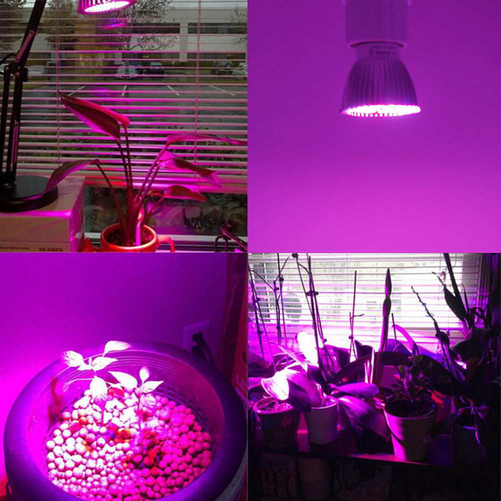 Lâmpada LED para Crescimento d - Plant Grow Light Full Spectrum avaliação e preço