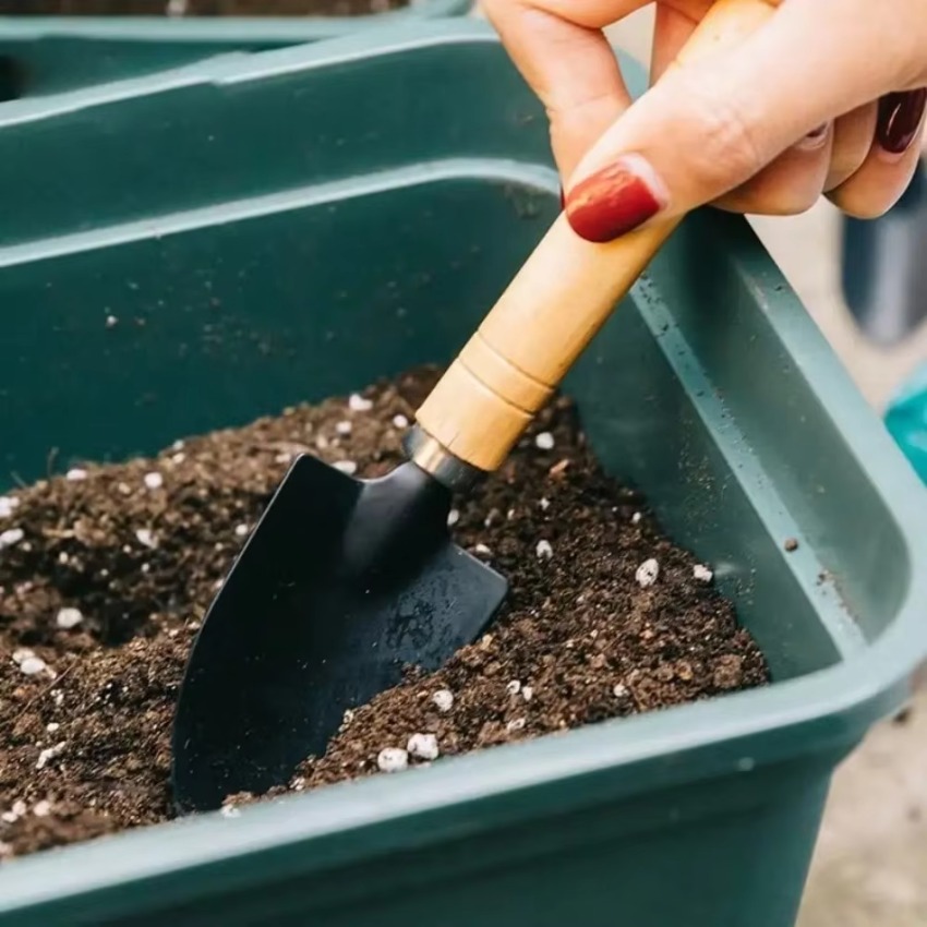 Conjunto de 3 peças de mini fe - Indoor Garden Kit avaliação e preço