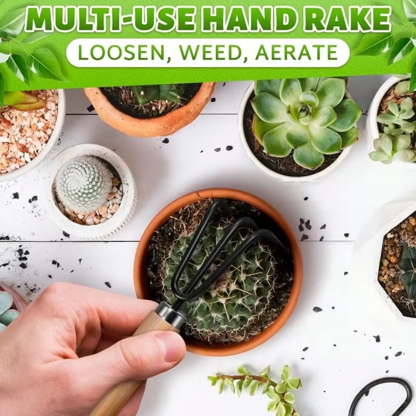 Conjunto de 3 peças de mini fe - Indoor Garden Kit avaliação e preço