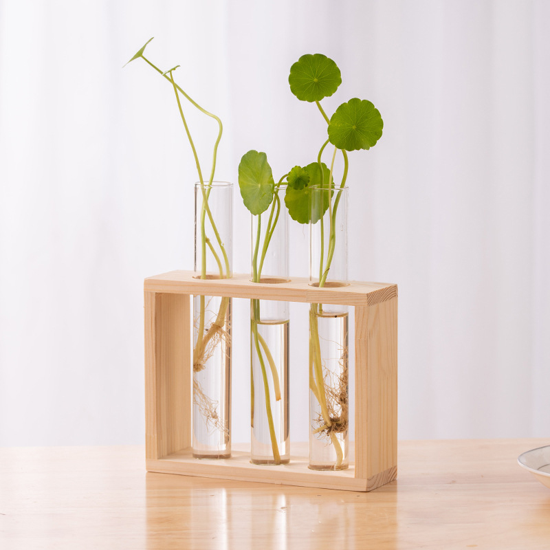 Recipiente de plantas hidropôn - Hydroponic Grow Pod avaliação e preço