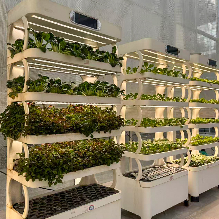 Jardineira inteligente para us - Grow Light Led avaliação e preço